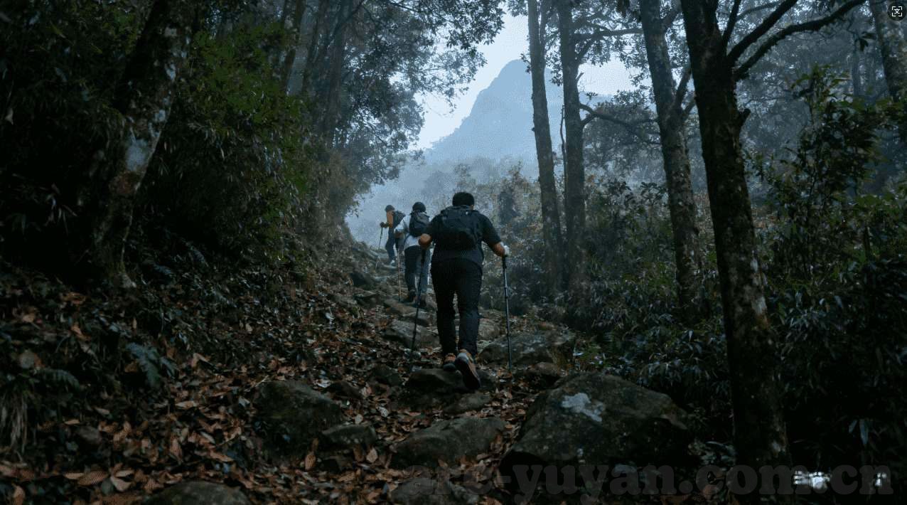 永利娱乐场手机网投-永利娱乐场手机网投，便捷娱乐与理性投注的完美融合
